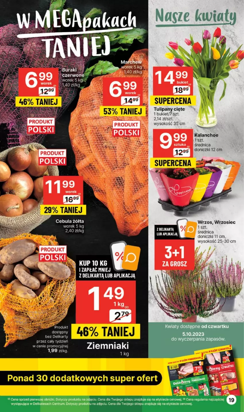 Gazetka promocyjna Delikatesy Centrum - Gazetka DC39 czw-sr - ważna 05.10 do 11.10.2023 - strona 19 - produkty: Bukiet, Cebula, Kalanchoe, Rum, Sok, Tulipan