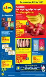 Gazetka promocyjna Lidl - GAZETKA - Gazetka - ważna od 10.01 do 10.01.2026 - strona 1 - produkty: Kurczak, Banany, Pilos, Masło, Jabłka