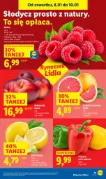 Gazetka promocyjna Lidl - GAZETKA - Gazetka - ważna od 10.01 do 10.01.2026 - strona 19 - produkty: Papryka, Cytryny, Maliny, Nektar, Grejpfrut
