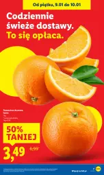 Gazetka promocyjna Lidl - GAZETKA - Gazetka - ważna od 10.01 do 10.01.2026 - strona 7 - produkty: Ser, Pomarańcze, Deser