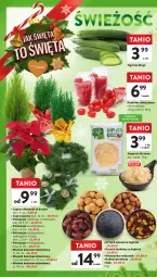 Gazetka promocyjna Intermarche - Gazetka Intermarche - Gazetka - ważna od 13.12 do 13.12.2023 - strona 24 - produkty: Poinsecja, Ogórek