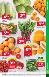 Gazetka promocyjna Stokrotka - Supermarket - Gazetka - ważna od 17.06 do 17.06.2026 - strona 5 - produkty: Warzywa, Sałata lodowa, Truskawki, Sałat, Optima, Owoce, Pomidory, Melon, Mięso, Grejpfrut, Szpinak