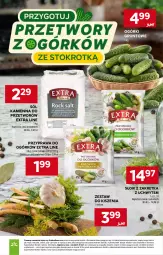 Gazetka promocyjna Stokrotka - Supermarket - Gazetka - ważna od 17.06 do 17.06.2026 - strona 6 - produkty: Warzywa, Sól, Kret, Optima, Owoce, Grunt, Mięso