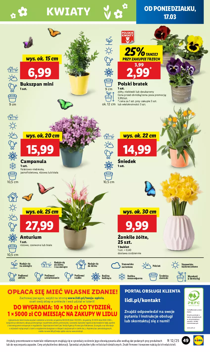 Gazetka promocyjna Lidl - GAZETKA - ważna 17.03 do 19.03.2025 - strona 51 - produkty: Bukiet, Campanula, Cień, Gra, Laur, Mola, O nas, Por, Portal, Sok