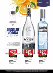 Gazetka promocyjna Delikatesy Centrum - Delibarek DC28-DC29 - Gazetka - ważna od 20.07 do 20.07.2025 - strona 15 - produkty: Biały Bocian, Por, Amundsen, Absolut, Wódka