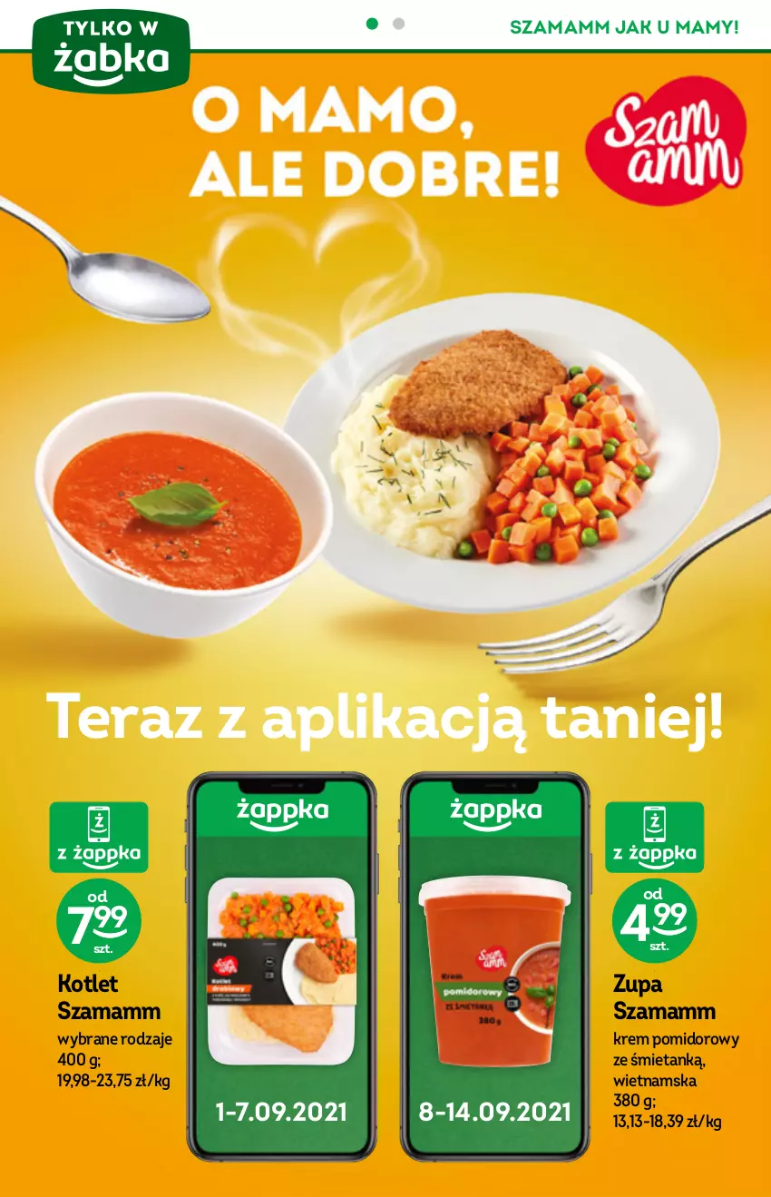 Gazetka promocyjna Żabka - ważna 01.09 do 14.09.2021 - strona 8 - produkty: Kotlet, Tera, Zupa