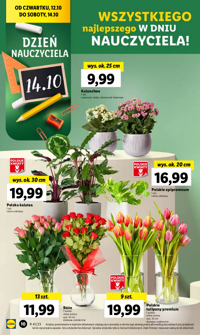 Gazetka promocyjna Lidl - GAZETKA - ważna 12.10 do 14.10.2023 - strona 20 - produkty: Bukiet, Kalanchoe, Tulipan