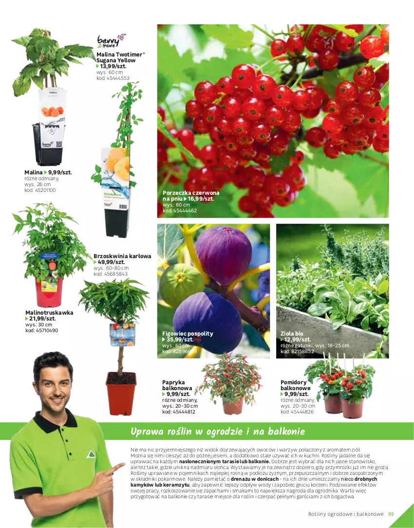 Gazetka promocyjna Leroy Merlin - Katalog ogród 2021 - ważna 04.03 do 30.06.2021 - strona 89 - produkty: Aronia, Borówka, Borówka amerykańska, Keramzyt, Kosz, Mięta, Papryka, Pigwowiec, Pojemnik, Pomidory, Por, Ser, Warzywa, Wino