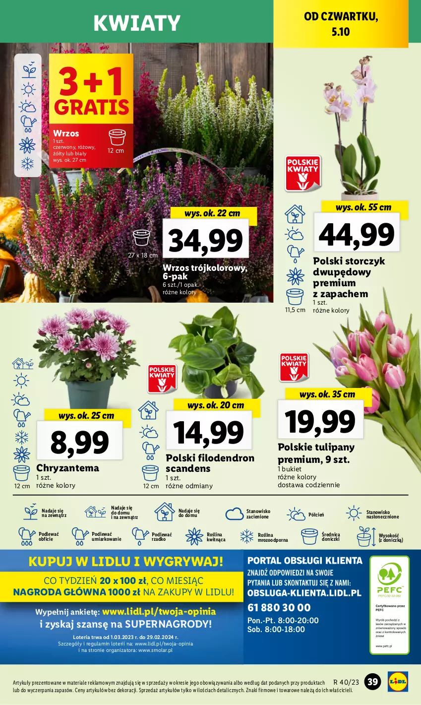 Gazetka promocyjna Lidl - GAZETKA - ważna 05.10 do 07.10.2023 - strona 51 - produkty: Bukiet, Chryzantema, Cień, Dron, Gra, Gry, Mola, O nas, Por, Sok, Storczyk, Tulipan