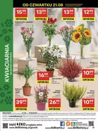 Gazetka promocyjna Delikatesy Centrum - Franczyza DC34 Czwartek - Gazetka - ważna od 27.08 do 27.08.2025 - strona 52 - produkty: Top, Gra, Bukiet