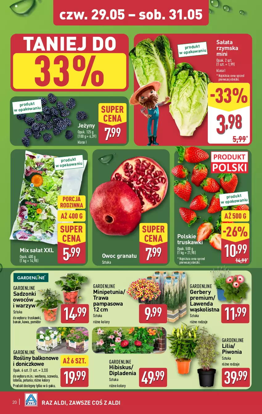 Gazetka promocyjna Aldi - Oferta weekendowa - ważna 29.05 do 31.05.2025 - strona 4 - produkty: Gerber, Gra, Granat, Hibiskus, Jeżyny, Kawa, Piwo, Por, Sałat, Truskawki
