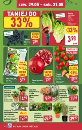 Gazetka promocyjna Aldi - Oferta weekendowa - Gazetka - ważna od 31.05 do 31.05.2025 - strona 4 - produkty: Piwo, Por, Gra, Gerber, Hibiskus, Granat, Truskawki, Jeżyny, Kawa, Sałat
