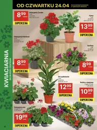 Gazetka promocyjna Delikatesy Centrum - Franczyza DC17 Czwartek - Gazetka - ważna od 30.04 do 30.04.2025 - strona 21 - produkty: Surf, Kawa