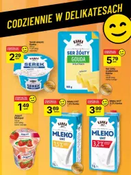 Gazetka promocyjna Delikatesy Centrum - Franczyza DC17 Czwartek - Gazetka - ważna od 30.04 do 30.04.2025 - strona 52 - produkty: Serek wiejski, Ser, Jogurt, Serek, Mleko