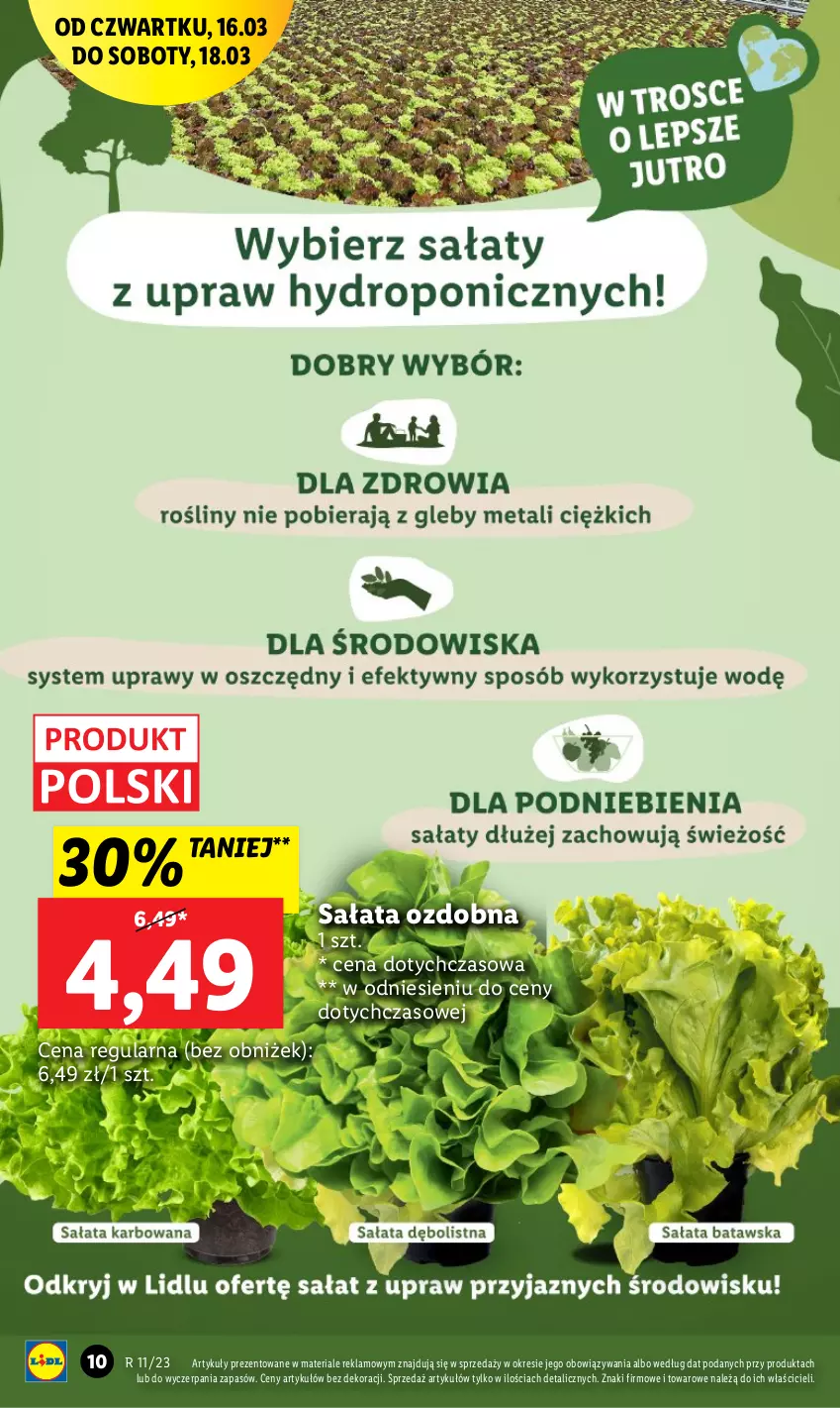 Gazetka promocyjna Lidl - GAZETKA - ważna 16.03 do 18.03.2023 - strona 10 - produkty: Sałat