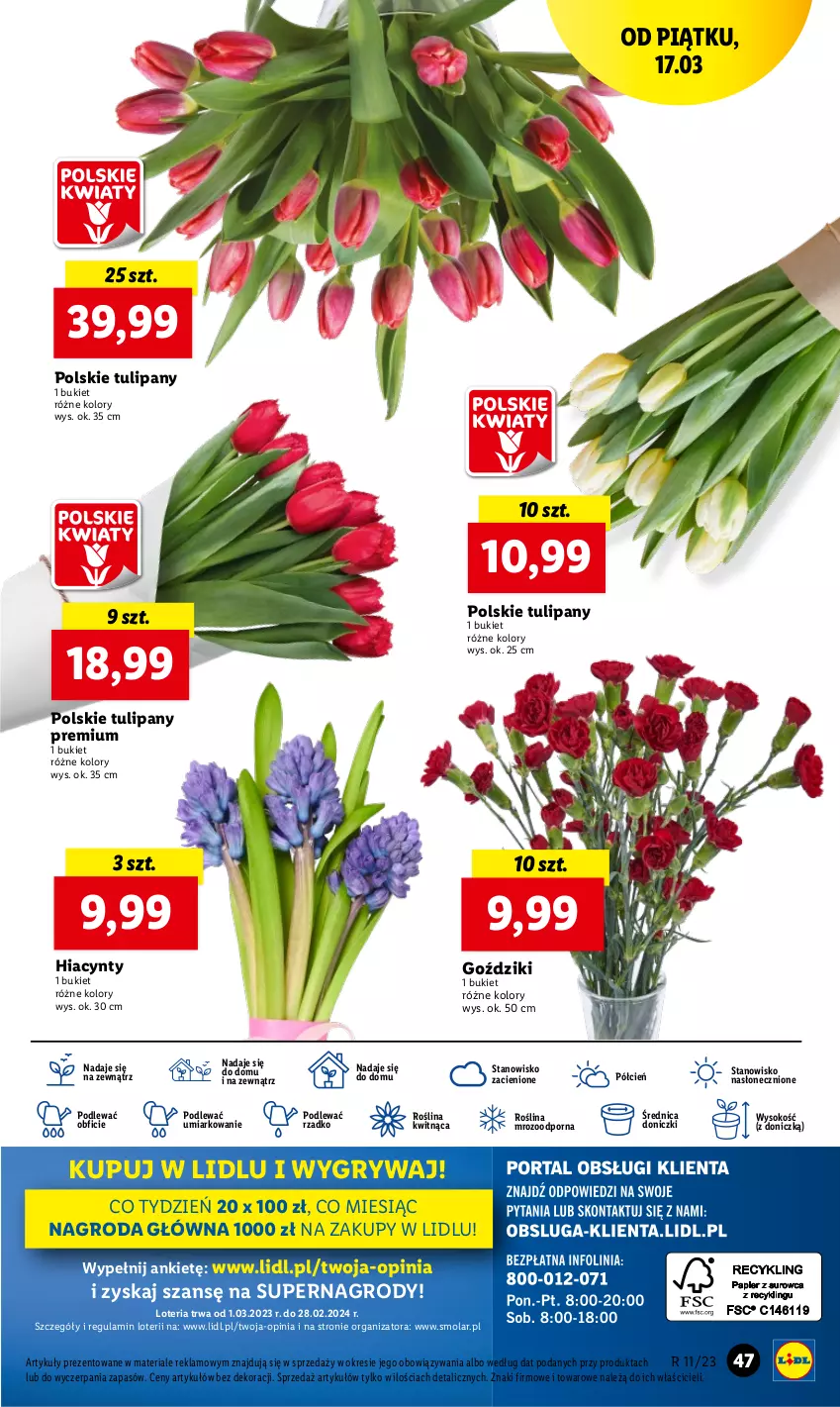 Gazetka promocyjna Lidl - GAZETKA - ważna 16.03 do 18.03.2023 - strona 49 - produkty: Bukiet, Cień, Gry, Hiacynt, Mola, O nas, Por, Sok, Tulipan