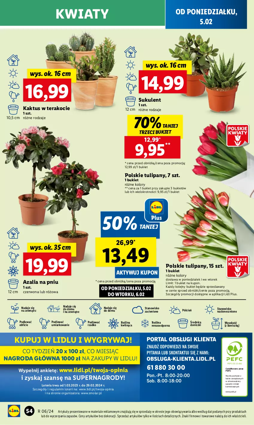 Gazetka promocyjna Lidl - GAZETKA - ważna 05.02 do 07.02.2024 - strona 49 - produkty: Bukiet, Cień, Gry, Kaktus, Koc, Mola, O nas, Olej, Por, Sok, Sukulent, Tera, Tulipan