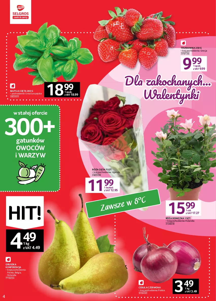 Gazetka promocyjna Selgros - Oferta spożywcza - ważna 02.02 do 15.02.2023 - strona 4 - produkty: Bazyl, Bazylia, Bukiet, Cebula, Cebula czerwona, Koc, LG, Róża