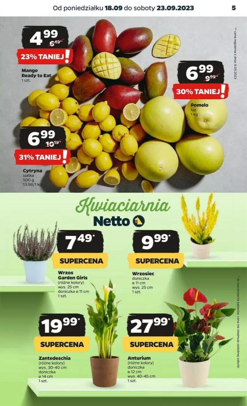 Gazetka promocyjna Netto - ważna 18.09 do 23.09.2023 - strona 21 - produkty: Chia