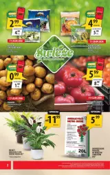 Gazetka promocyjna Arhelan - Gazetka - Gazetka - ważna od 20.09 do 20.09.2026 - strona 2 - produkty: Rum, Waga, Fa