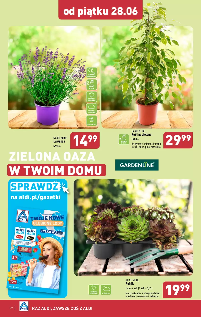 Gazetka promocyjna Aldi - Pełna oferta - ważna 24.06 do 30.06.2024 - strona 22 - produkty: Fa, Tera