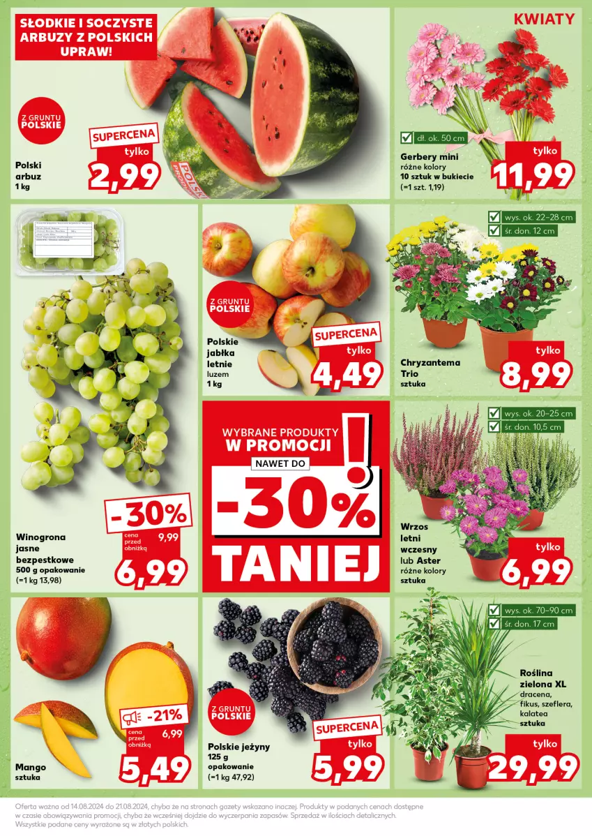 Gazetka promocyjna Kaufland - Kaufland - ważna 19.08 do 21.08.2024 - strona 7 - produkty: Arbuz, Chryzantema, Gerber, Jabłka, Jeżyny, Por, Wino, Winogrona