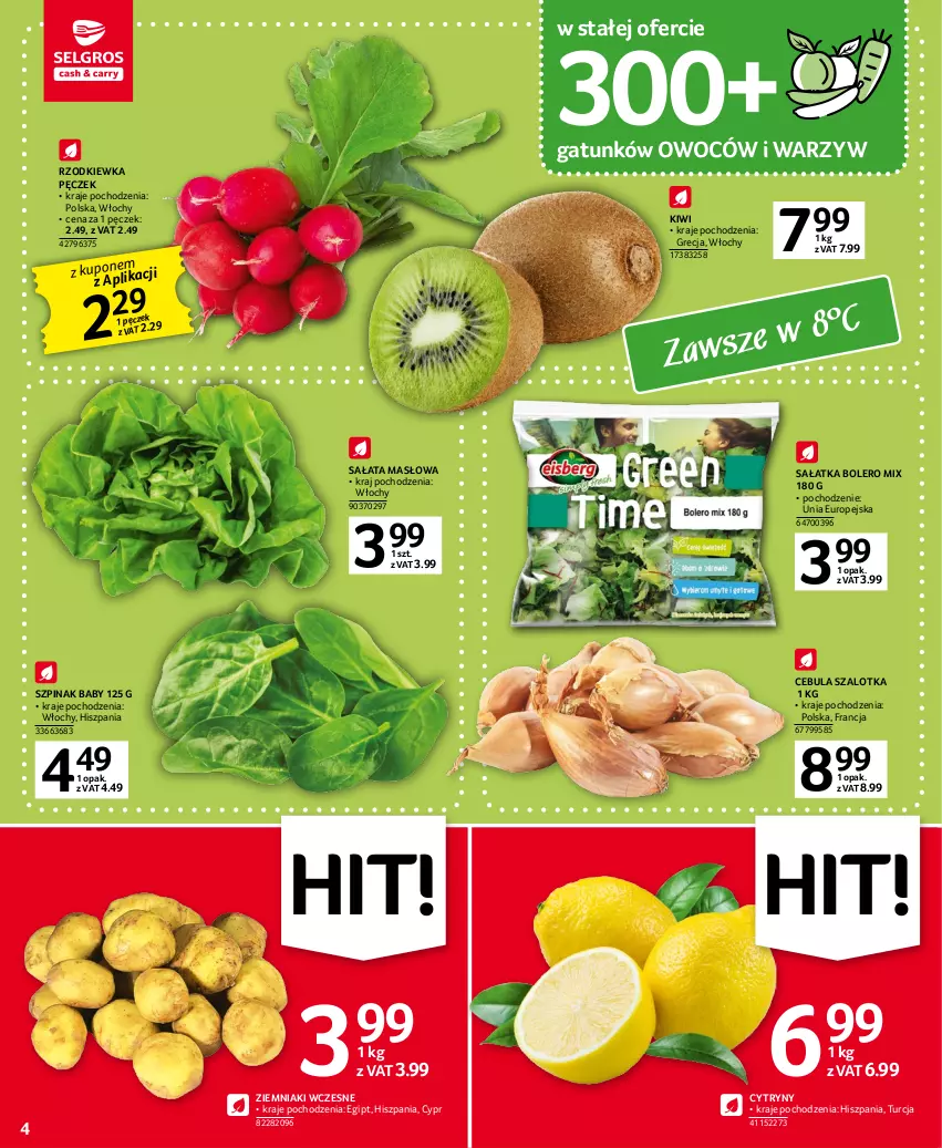 Gazetka promocyjna Selgros - Oferta spożywcza - ważna 16.03 do 29.03.2023 - strona 4 - produkty: Cebula, Cebula szalotka, Cytryny, Kiwi, Masło, Rzodkiewka, Sałat, Sałata masłowa, Sałatka, Szal, Szpinak, Ziemniaki