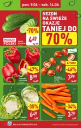 Gazetka promocyjna Aldi - Pełna oferta - Gazetka - ważna od 14.06 do 14.06.2025 - strona 2 - produkty: Kalafior, Papryka czerwona, Papryka, Grunt, Pomidory