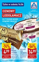 Gazetka promocyjna Aldi - Pełna oferta - Gazetka - ważna od 14.06 do 14.06.2025 - strona 31 - produkty: Lody, Algida, LG