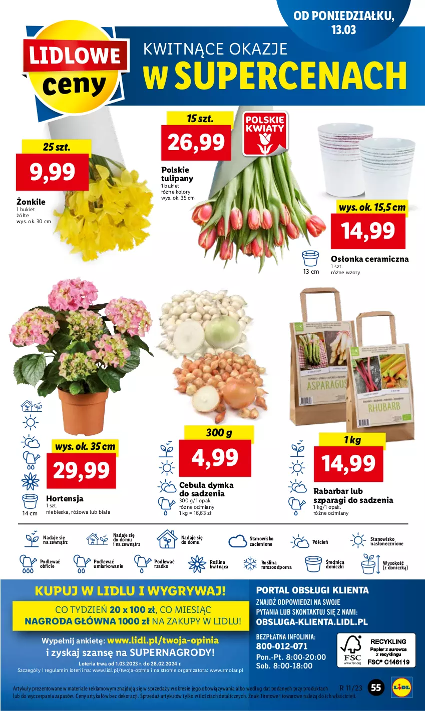 Gazetka promocyjna Lidl - GAZETKA - ważna 13.03 do 15.03.2023 - strona 61 - produkty: Bukiet, Cebula, Cień, Gry, Mola, O nas, Osłonka, Por, Sok, Tulipan