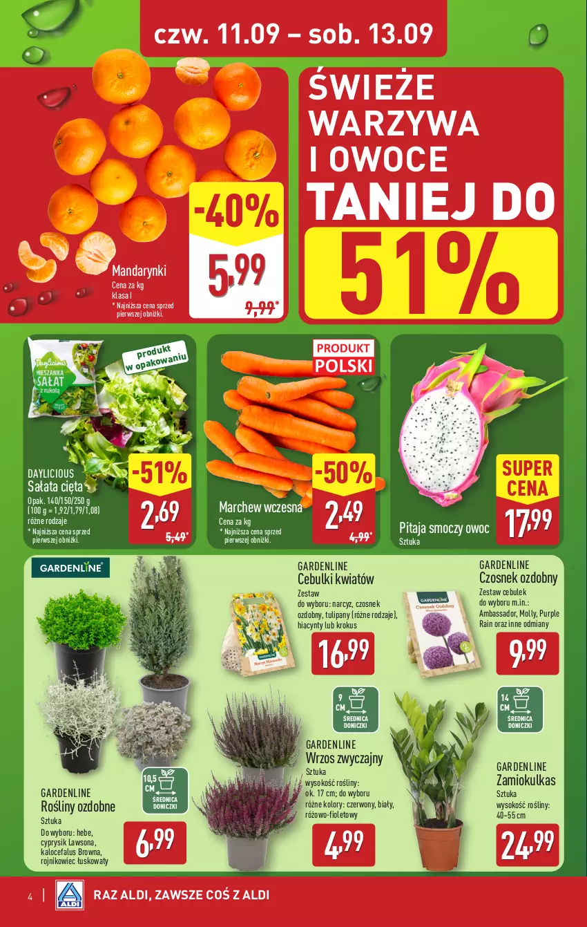 Gazetka promocyjna Aldi - Oferta weekendowa - ważna 11.09 do 13.09.2025 - strona 4 - produkty: Cyprysik, Czosnek, Fa, Hiacynt, Krokus, Mandarynki, Narcyz, Owoce, Pur, Sałat, Sok, Tulipan, Warzywa, Warzywa i owoce