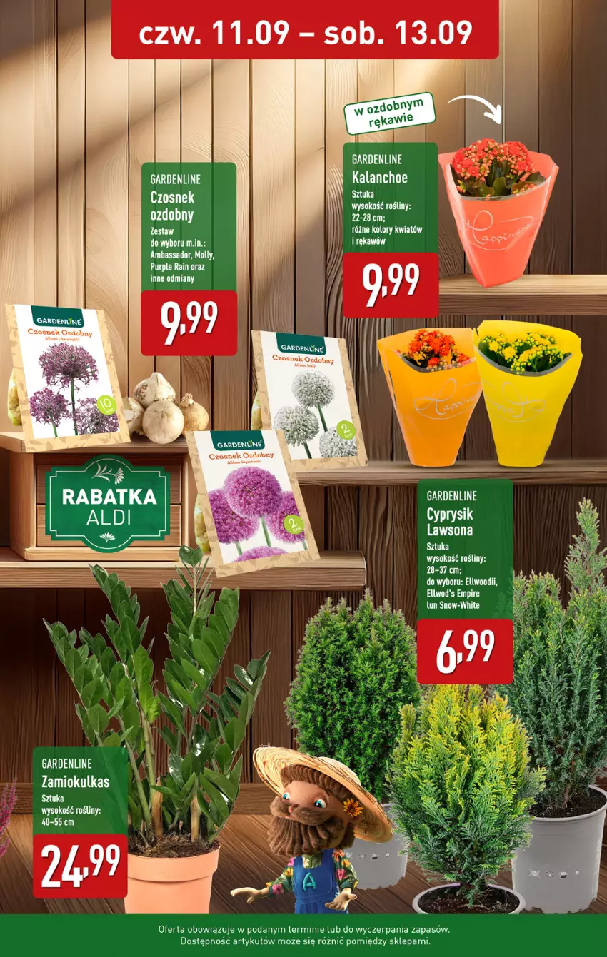 Gazetka promocyjna Aldi - Oferta weekendowa - ważna 11.09 do 13.09.2025 - strona 9