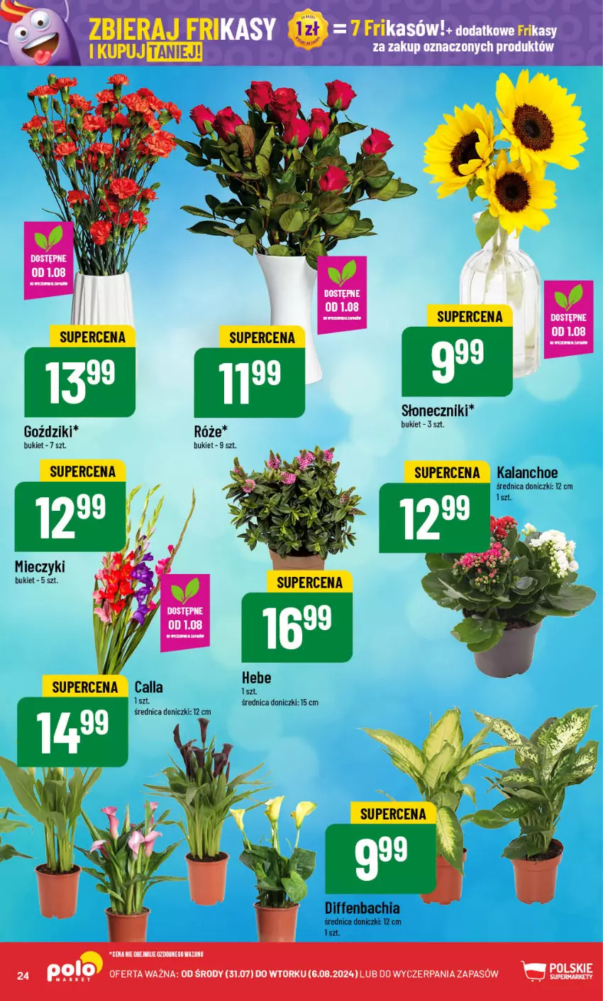 Gazetka promocyjna PoloMarket - Gazetka pomocyjna - ważna 31.07 do 06.08.2024 - strona 24 - produkty: Bukiet, Kalanchoe, Miecz