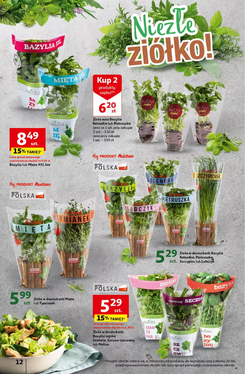 Gazetka promocyjna Auchan - Gazetka Mamy wiosnę Ale jazda! Hipermarket Auchan - ważna 18.04 do 24.04.2024 - strona 12 - produkty: Bazyl, Bazylia, Kolendra, Mięta, Pietruszka