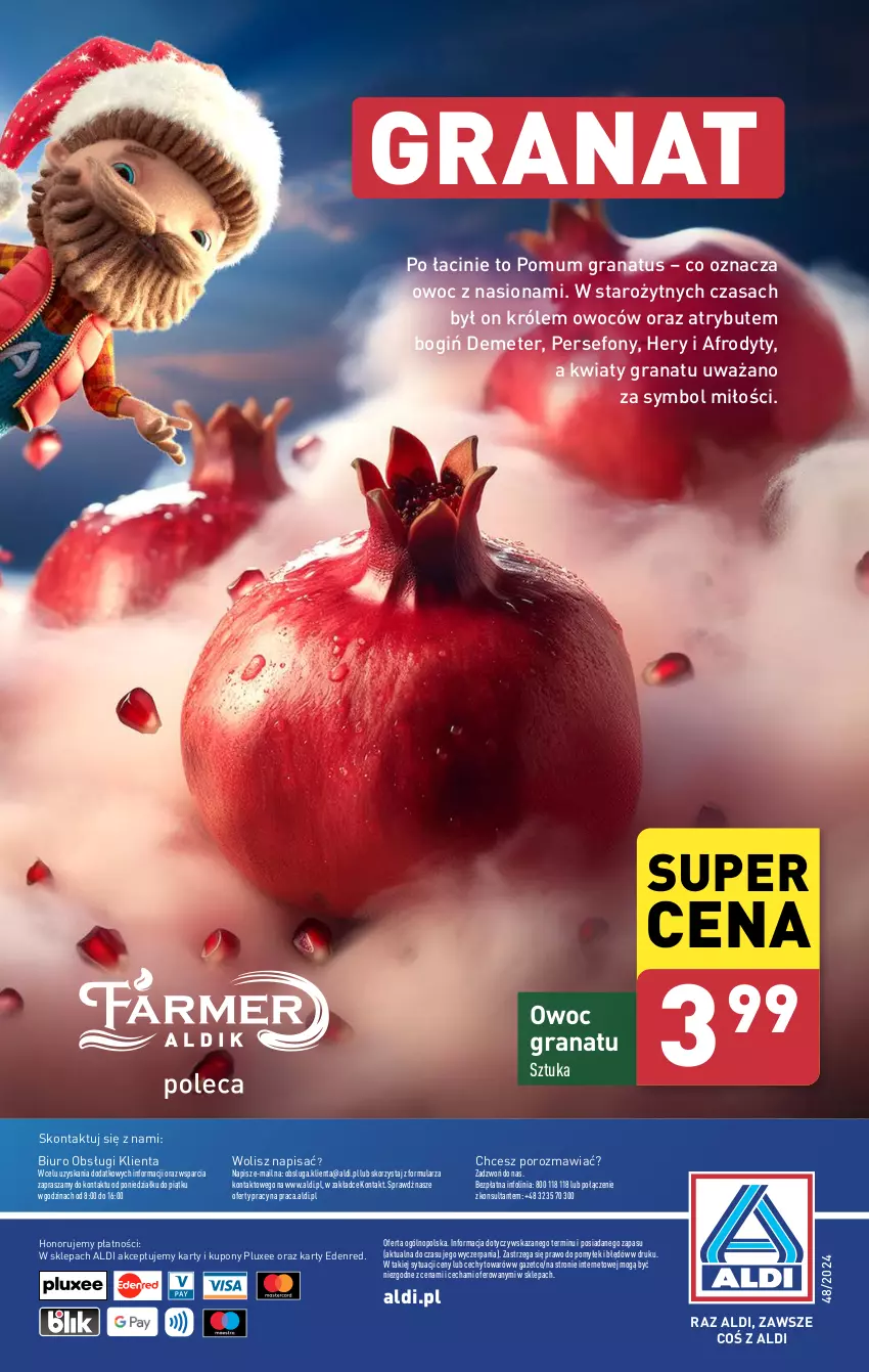 Gazetka promocyjna Aldi - Farmer ALDIK poleca świeże owoce i warzywa - ważna 25.11 do 30.11.2024 - strona 10 - produkty: Biuro, Gra, Granat, O nas, Por