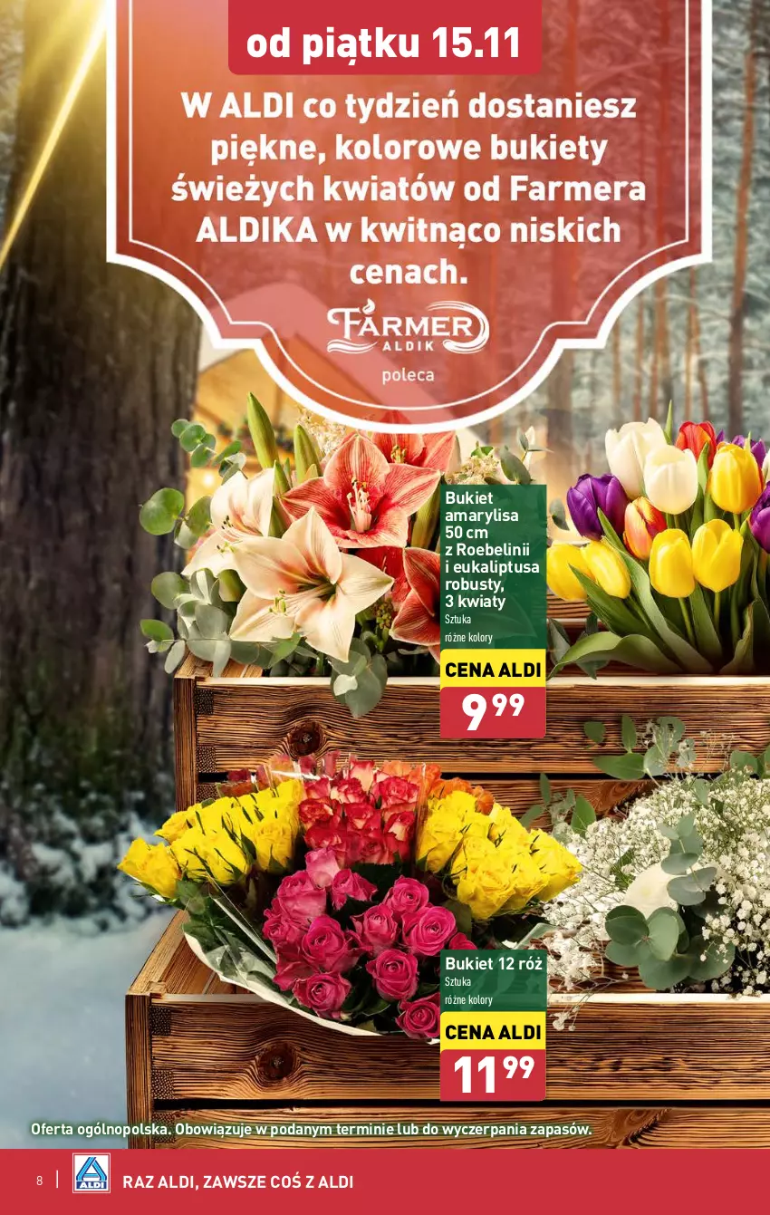 Gazetka promocyjna Aldi - Farmer ALDIK poleca świeże owoce i warzywa - ważna 25.11 do 30.11.2024 - strona 8 - produkty: Amarylis, Bukiet