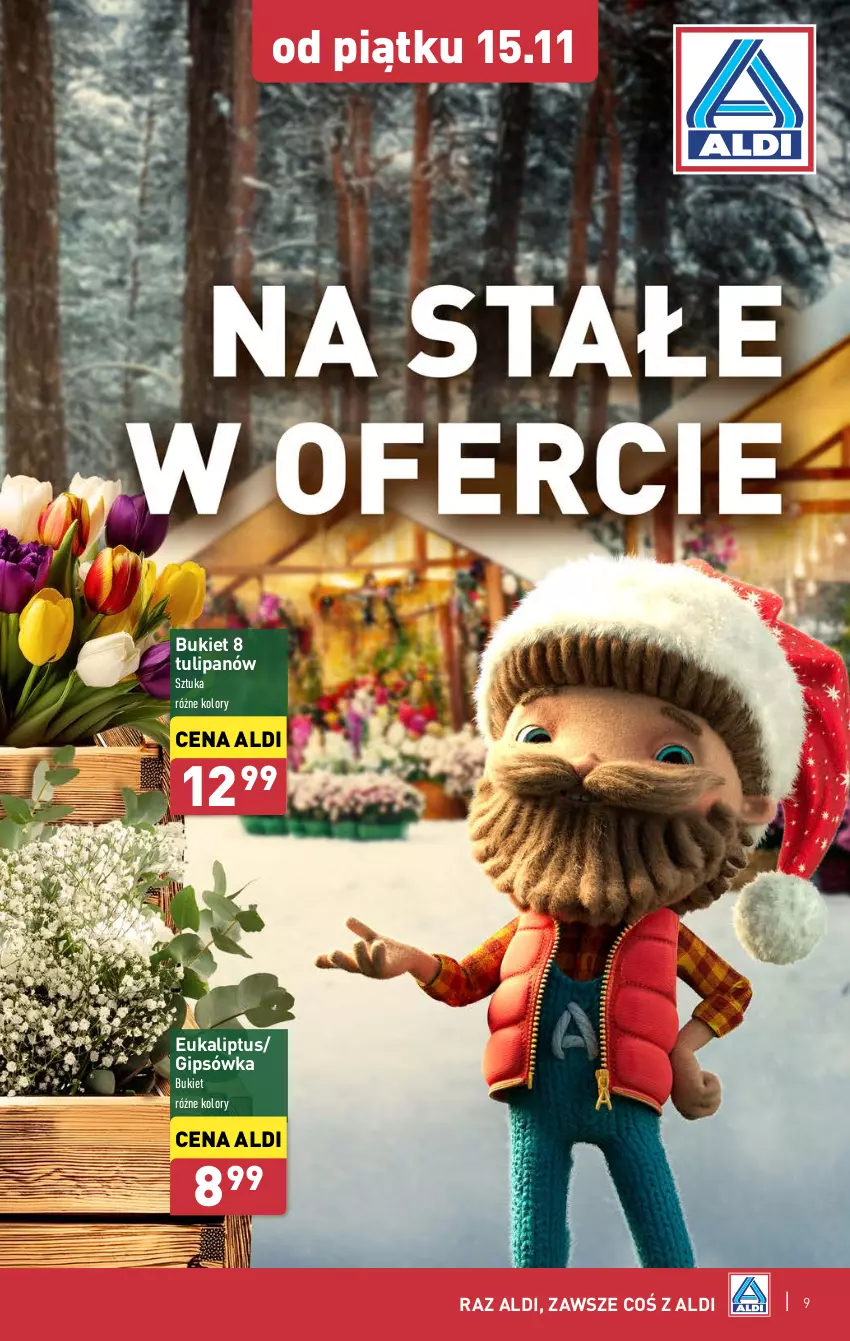 Gazetka promocyjna Aldi - Farmer ALDIK poleca świeże owoce i warzywa - ważna 25.11 do 30.11.2024 - strona 9 - produkty: Bukiet, Tulipan