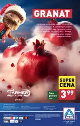 Gazetka promocyjna Aldi - Farmer ALDIK poleca świeże owoce i warzywa - Gazetka - ważna od 30.11 do 30.11.2024 - strona 10 - produkty: Por, Gra, Granat, O nas, Biuro