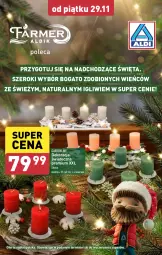 Gazetka promocyjna Aldi - Farmer ALDIK poleca świeże owoce i warzywa - Gazetka - ważna od 30.11 do 30.11.2024 - strona 11 - produkty: Dekoracja świąteczna