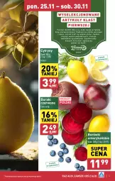 Gazetka promocyjna Aldi - Farmer ALDIK poleca świeże owoce i warzywa - Gazetka - ważna od 30.11 do 30.11.2024 - strona 5 - produkty: Cytryny, Buraki