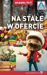 Gazetka promocyjna Aldi - Farmer ALDIK poleca świeże owoce i warzywa - Gazetka - ważna od 30.11 do 30.11.2024 - strona 9 - produkty: Tulipan, Bukiet